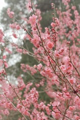 9F566020-14B5-4617-AD4C-F7D3AB136AB8/L0/001