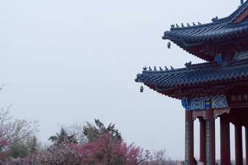 84710374-D3D8-40E4-8594-28CB71687F68/L0/001