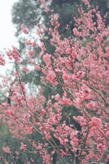 3ABCBE42-AA1D-42C8-9228-EA6F7CCB0792/L0/001