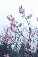 0724007F-FF2F-48EF-B648-DA088A3B3F3F/L0/001