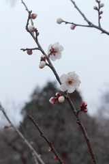 A0149D18-BD96-42F7-B215-74DAF1D4A8D7/L0/001