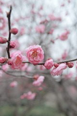 1FD07896-6FEB-4FD2-944F-A53036A2CA3F/L0/001