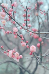 A21068EB-9EA4-4DCE-A89A-8EBEBD43DA18/L0/001