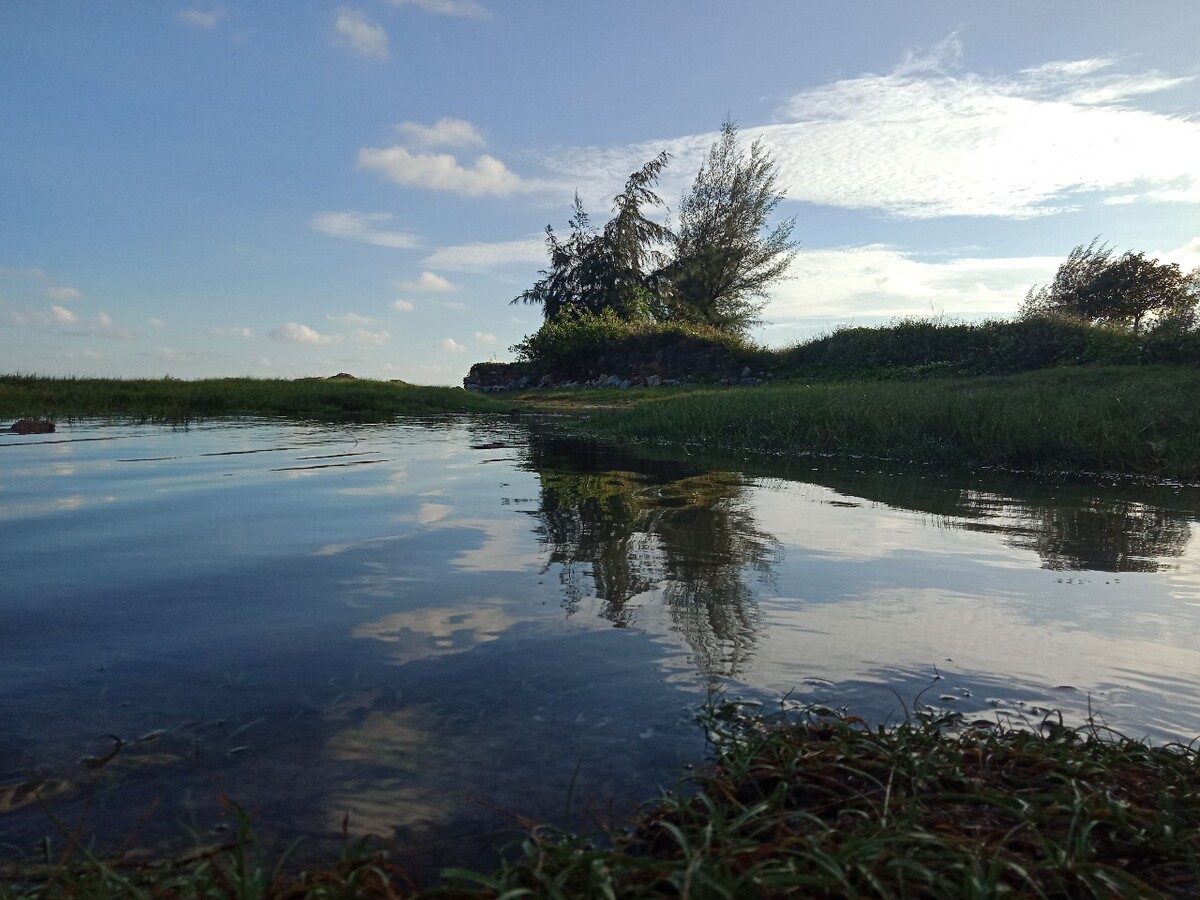 野景