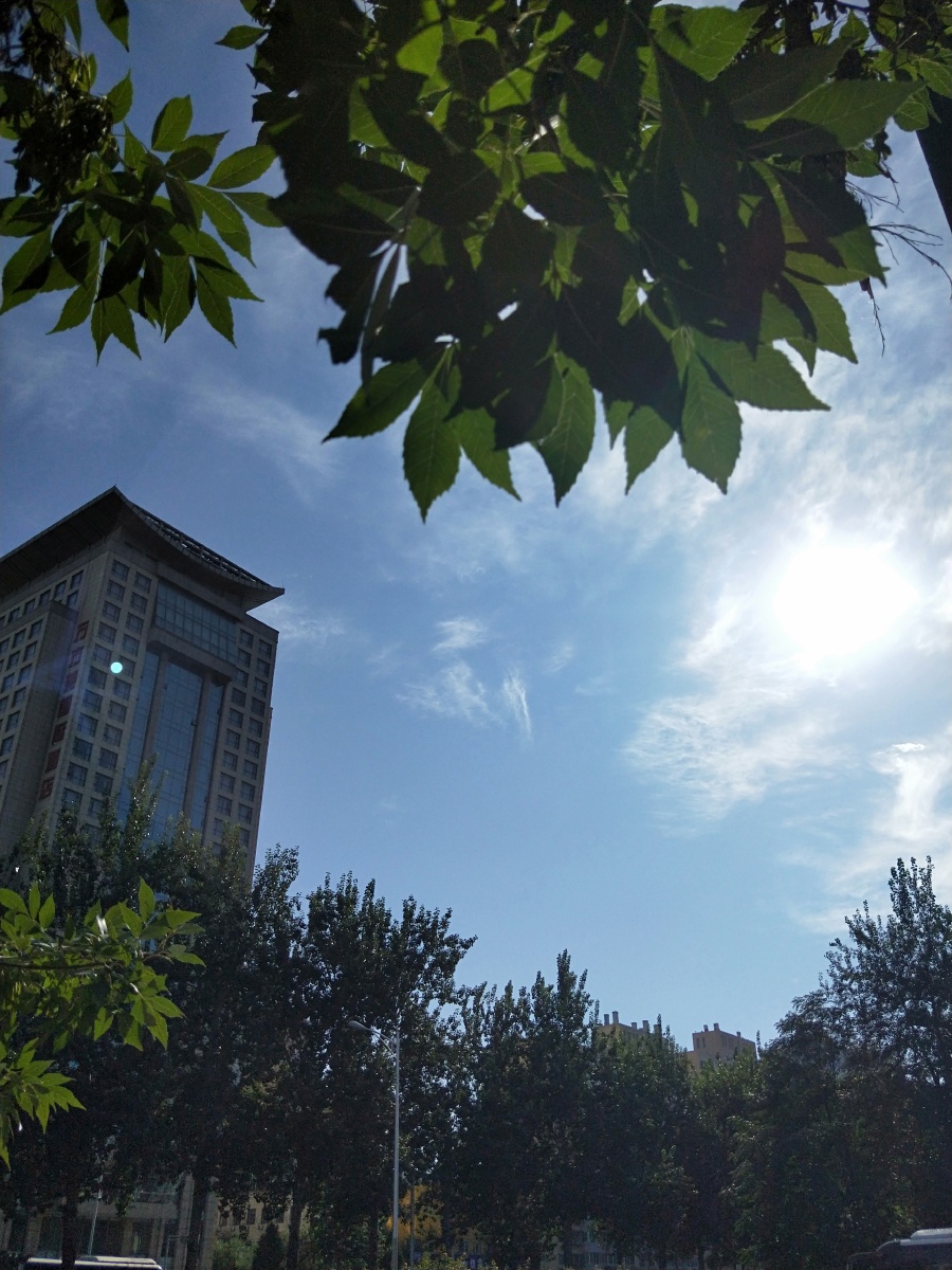 逆光拍照也清晰