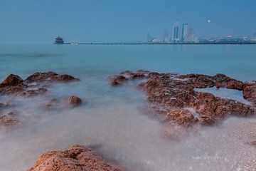 SAM_2608_