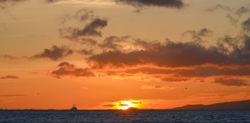 1-7DSC_4864