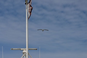3-1DSC_5251