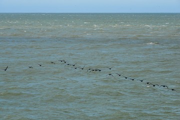 3-2DSC_5276