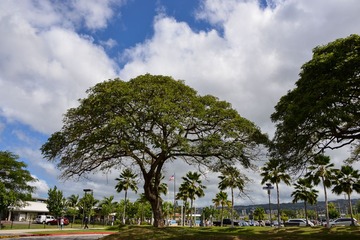6-1DSC_4220