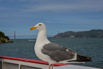 6-2DSC_5395