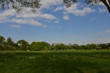 6-6DSC_7327