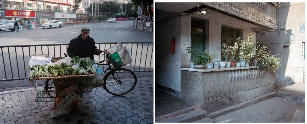 116，《洄路》：推车卖菜的老人，阳台上的植物   2023年2月，石棉县境内