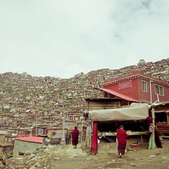 IMGP6815-2.jpg