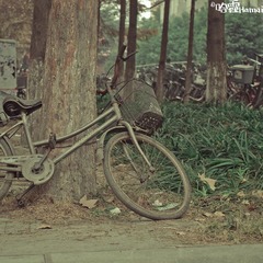 IMGP9459-2.jpg
