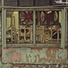 IMGP9469-2.jpg