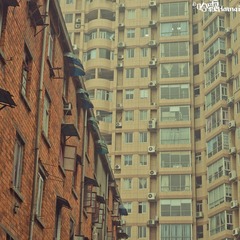 IMGP9512-2.jpg