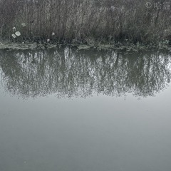 IMGP8320-2.jpg