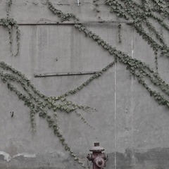 IMGP8341-2.jpg