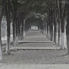 IMGP8344-2.jpg