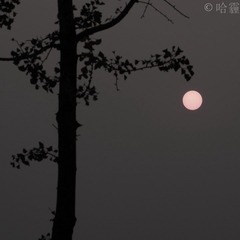 IMGP8350-2.jpg