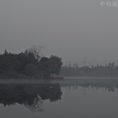 IMGP8473-2.jpg