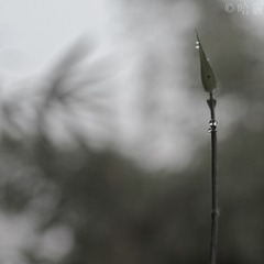 IMGP8475-2.jpg