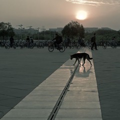 IMGP8452小图.jpg