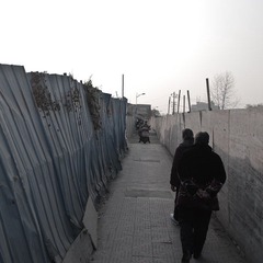 IMGP9852-2.jpg