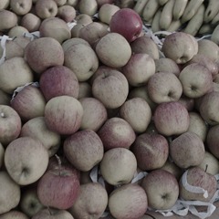 IMGP9855-2.jpg