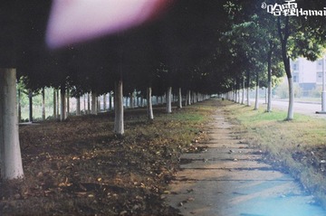 40550011-2.jpg