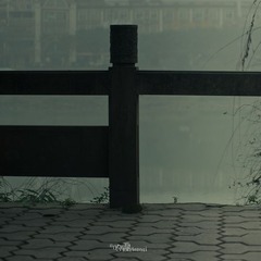 IMGP0978-2.jpg