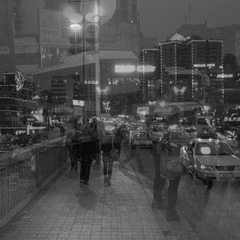 IMGP1313-2.jpg