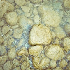 IMGP1722-2.jpg