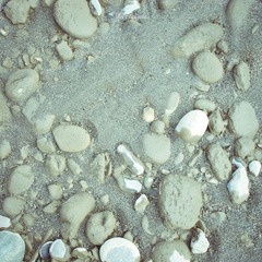 IMGP1723-2.jpg