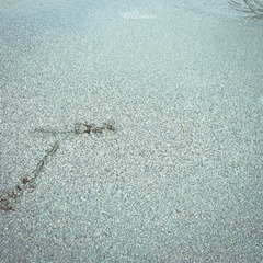 IMGP1726-2.jpg