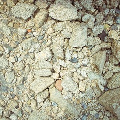 IMGP1731-2.jpg