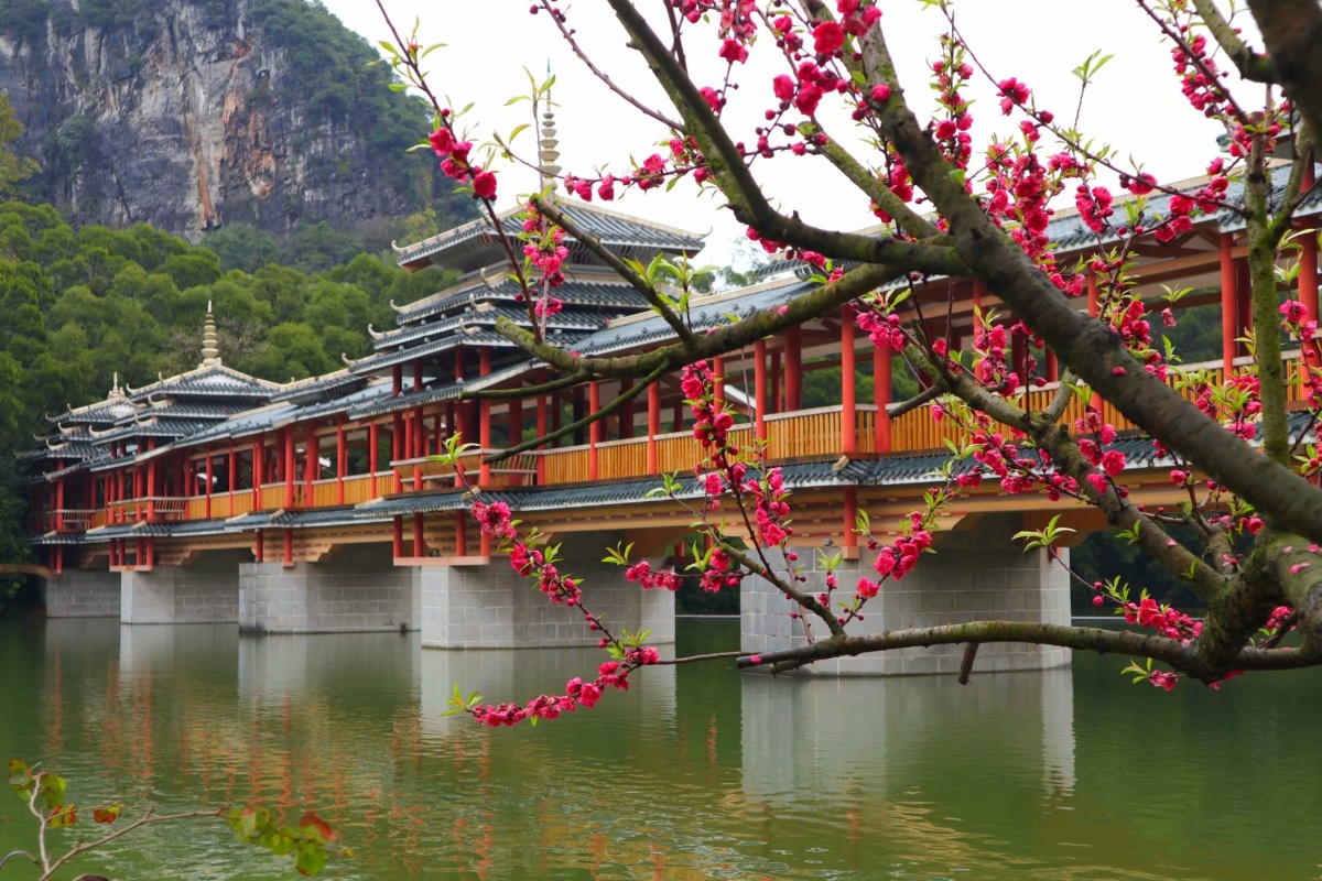 龙潭公园开桃花