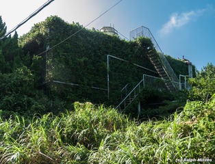 0_d6d77_c58cb671_orig