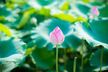 _DSC9734
