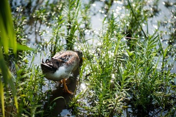 _DSC9752