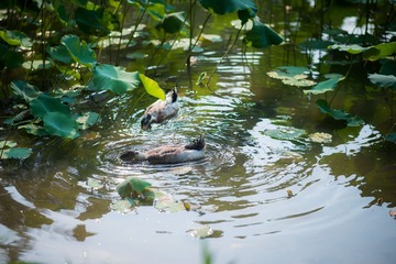 _DSC9788