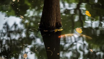 _DSC2879