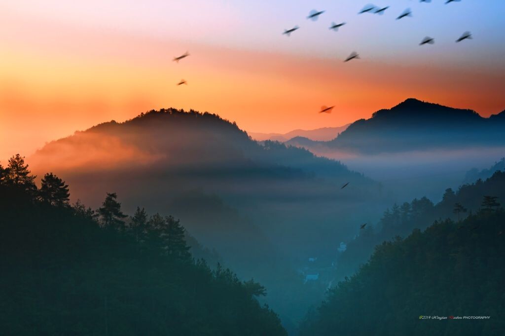 一个春季里的凌晨，一行人去安徽卖花渔村拍五彩桃花，当沿着曲曲弯弯山路来到临近村口的山坡处，霞光、云雾、飞鸟欢歌构成了眼前的这一幅景色