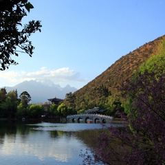 IMG_5871__
