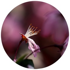 FZF_61rewrw90