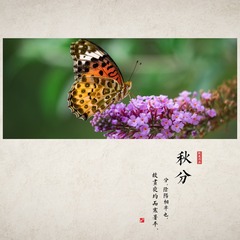 FZF_6699b