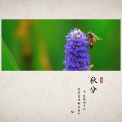 FZF_6699c