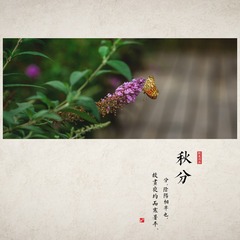 FZF_6699d