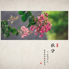 FZF_6699g